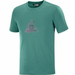 T-shirts SALOMON EXPLORE BLEND TEE M PACIFIC 22 Vert