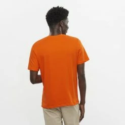 T-shirts SALOMON OUTLIFE LOGO TEE M RED ORANGE 22 Orange -Vêtements casual Homme Soldes Boutique 9 102994 t shirt outlife logo tee m red orange lc1964300 03