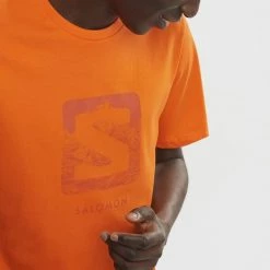 T-shirts SALOMON OUTLIFE LOGO TEE M RED ORANGE 22 Orange -Vêtements casual Homme Soldes Boutique 9 102994 t shirt outlife logo tee m red orange lc1964300 04