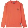 Sweatshirts PICTURE CC TURTLECAP CREW ORANGE 22 Orange -Vêtements casual Homme Soldes Boutique 9 103630 msw350 a 01