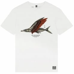 T-shirts PICTURE D&S FLYFI TEE NATURAL WHITE 22 Blanc