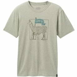 T-shirts PRANA COMO TE LLAMA JOURNEYMAN 2 COASTAL SAGE HEATHER 22 Vert