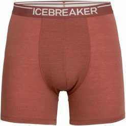 Sous Vêtements ICEBREAKER M ANATOMICA BOXERS GRAPE 22 Violet