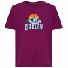 T-shirts OAKLEY MATTERHORN TEE DARK PURPLE 22 Violet 2 T-shirts OAKLEY MATTERHORN TEE DARK PURPLE 22 Violet -Vêtements casual Homme Soldes Boutique 9 106861 matterhorn tee dark purple foa403154 89r 01