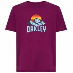 T-shirts OAKLEY MATTERHORN TEE DARK PURPLE 22 Violet