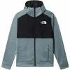 Vestes THE NORTH FACE M MA FZ FLEECE GBNBUDHTHR/TNFB 22 Gris / Noir -Vêtements casual Homme Soldes Boutique 9 116005 nf0a5ieq5w5 01