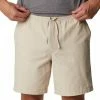 Shorts COLUMBIA SCENIC RIDGE PULL-ON SHORT ON SHO ANCIENT FOSSIL 22 Beige -Vêtements casual Homme Soldes Boutique 9 116148 scenic ridge pull on short on sho ancient fossil 1990893 271 01