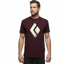 T-shirts BLACK DIAMOND SS CHALKED UP TEE PORT 23 Rouge