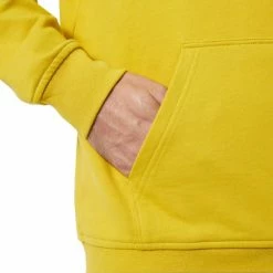 Sweatshirts HELLY HANSEN BOX HOODIE ANTIQUE MOSS 22 Jaune -Vêtements casual Homme Soldes Boutique 9 96657 box hoodie antique moss 53289 380 06